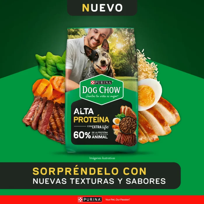 01Diversity_econtent_Alta_Proteina-portada.png