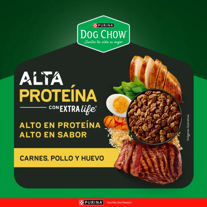 03Diversity_econtent_Alta_Proteina_bodegon.png