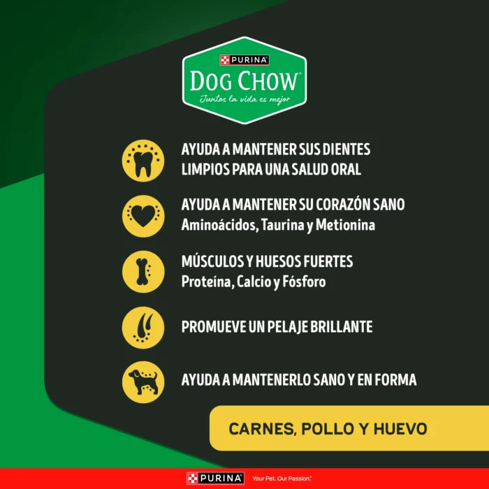 04Diversity_econtent_Alta_Proteina_beneficios.png