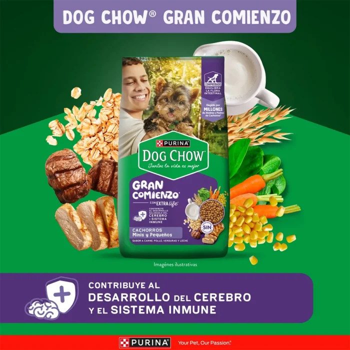 1_Diversity-econtent-Lacti-Minis-Peque.jpg