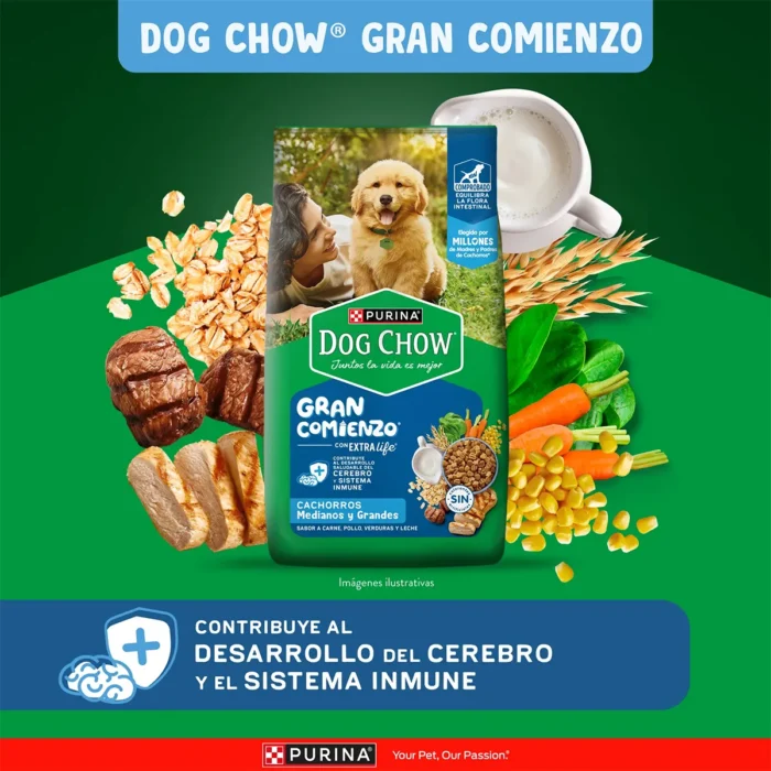 1_Diversity-econtent-Lactis-med-grnd copia_0.jpg.jpg