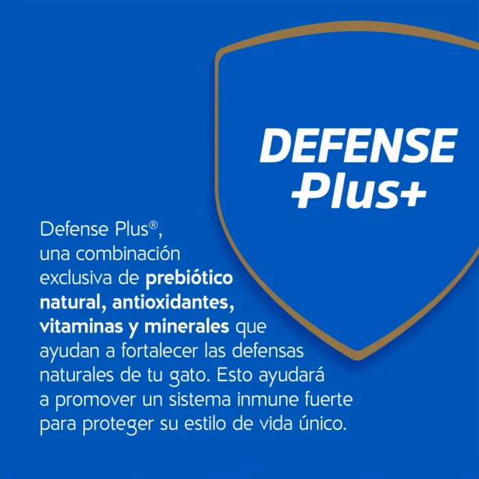 2. Defense Plus_4.jpg