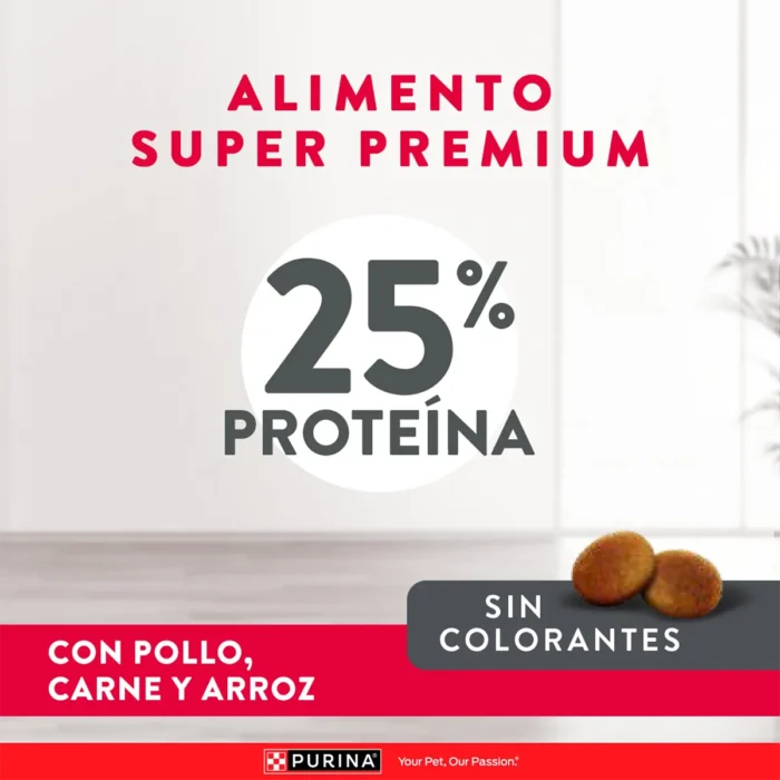 25% Proteína.png