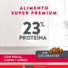 3 E-Content-Excellent_Perro_2Mesa-de-trabajo-31.jpg