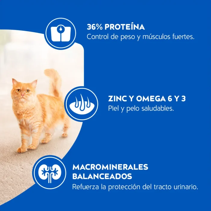 4. Funtional Claims - Esterilizados.jpg