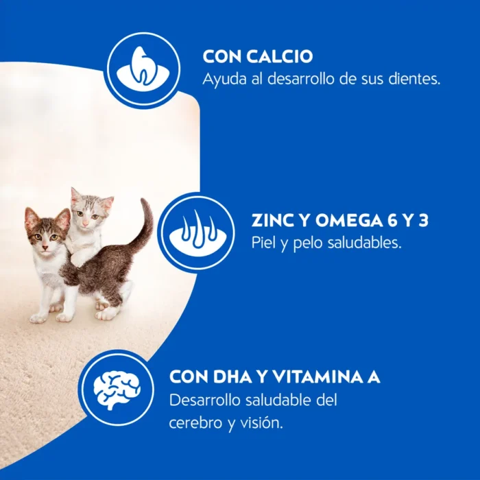 4. Funtional Claims - Gatitos.jpg