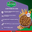 4_Diversity-econtent-Lacti-Minis-Peque.jpg