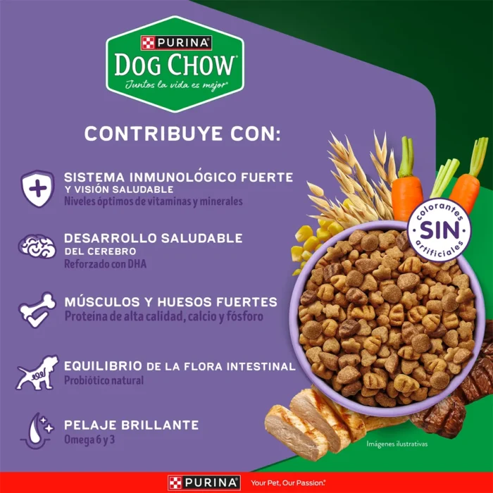 4_Diversity-econtent-Lacti-Minis-Peque.jpg