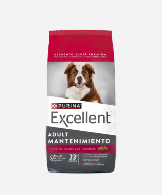 Excellent Dog Adulto Mantenimiento