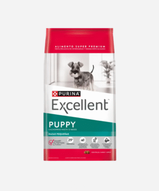 Excellent Dog Cachorro Razas Pequeñas