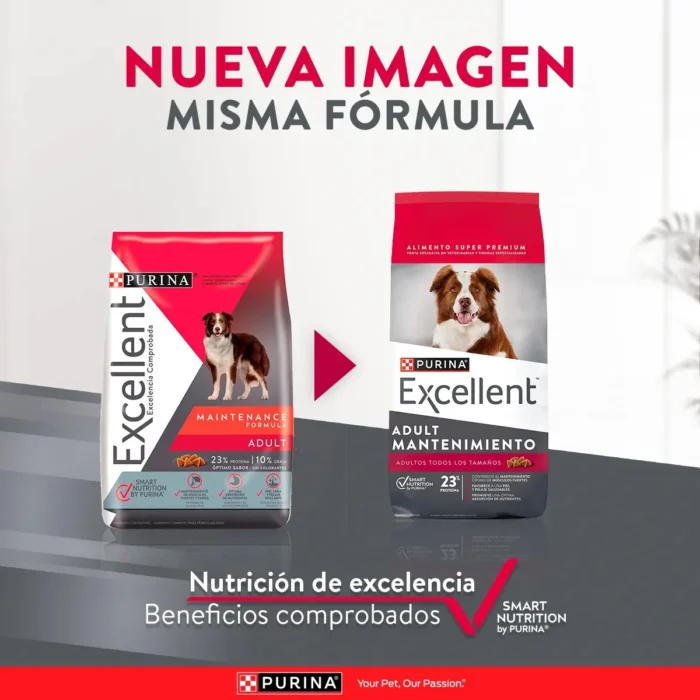 Excellent_Perros_AdultMantenimiento2.jpg