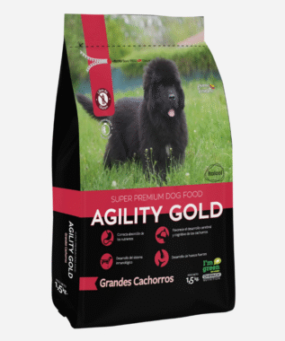 Agility Gold Dog Cachorro Grandes