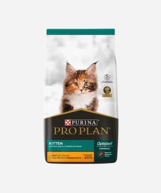 Pro Plan Cat Kitten